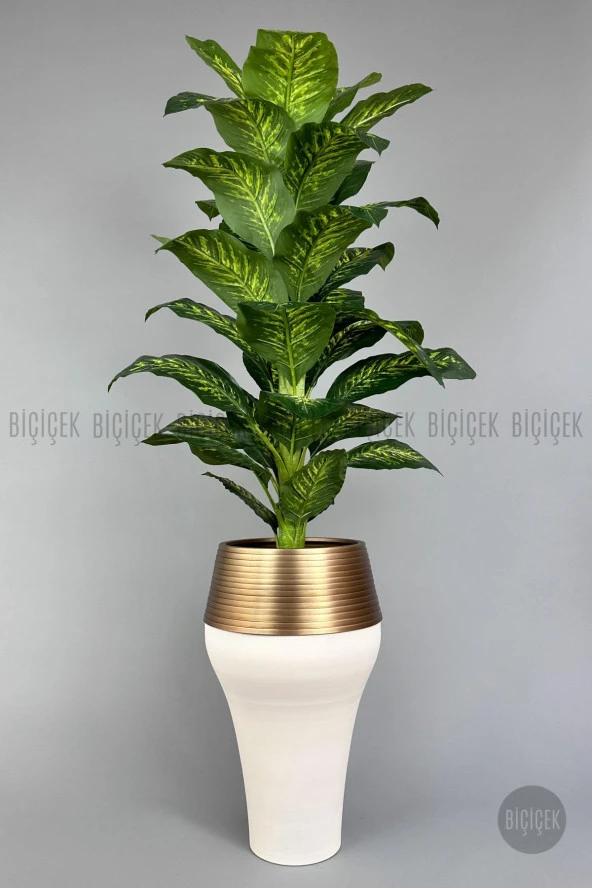 BİÇİÇEK 190 cm difenbahya bitkisi Cleopatra saksıda krem gold