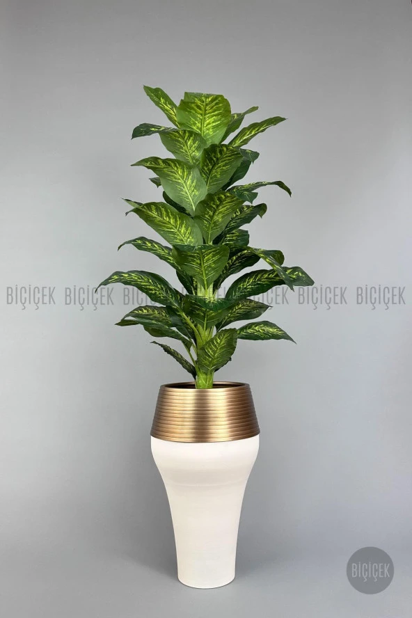 BİÇİÇEK 190 cm difenbahya bitkisi Cleopatra saksıda krem gold - 2