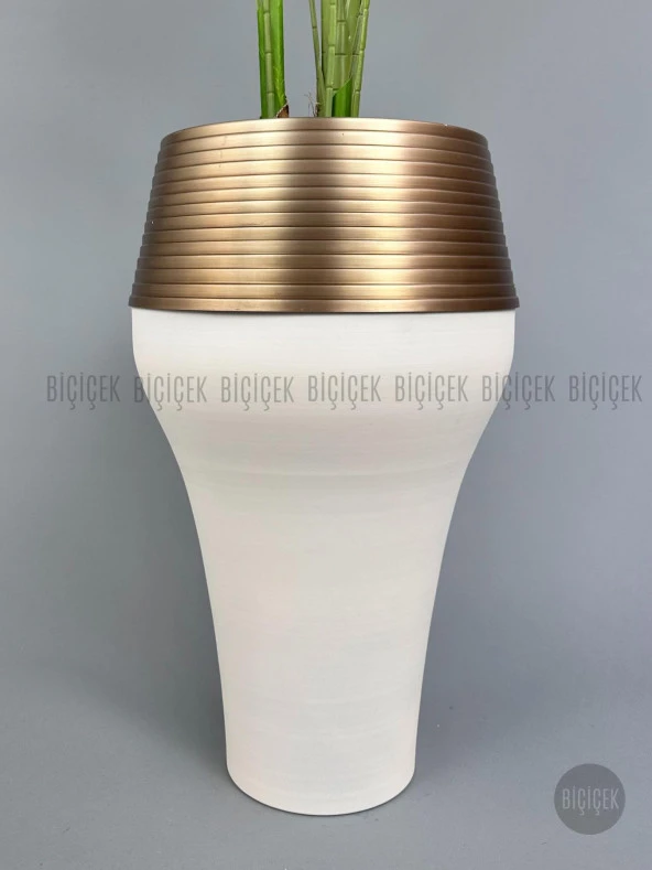 BİÇİÇEK 190 cm difenbahya bitkisi Cleopatra saksıda krem gold - 4