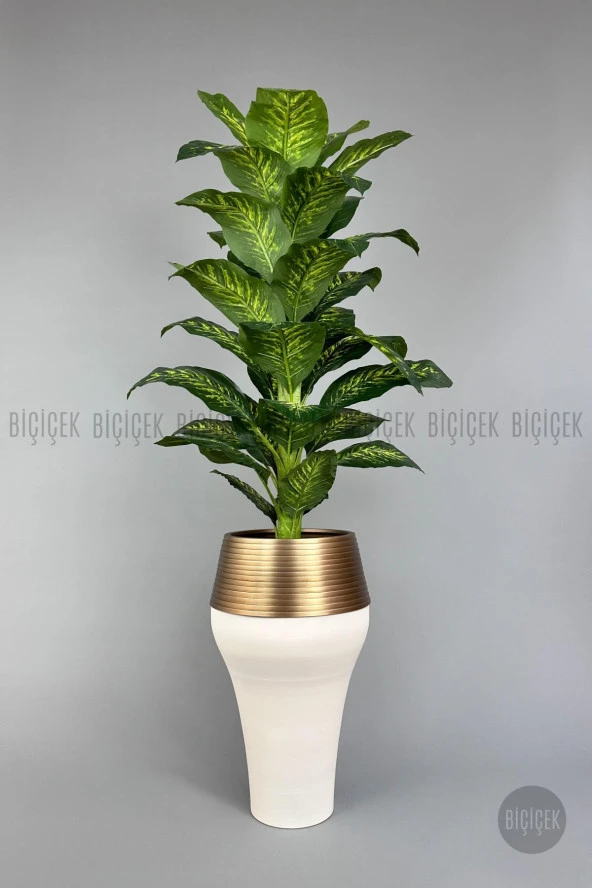 BİÇİÇEK 190 cm difenbahya bitkisi Cleopatra saksıda krem gold - 5
