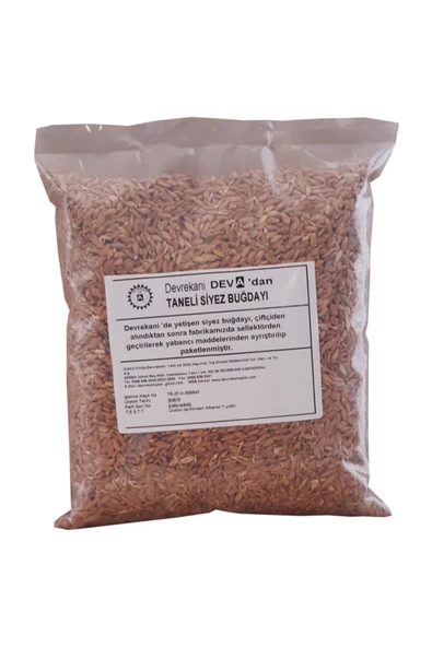 KASTAMONU SİYEZ BUĞDAYI TANELİ 1KG
