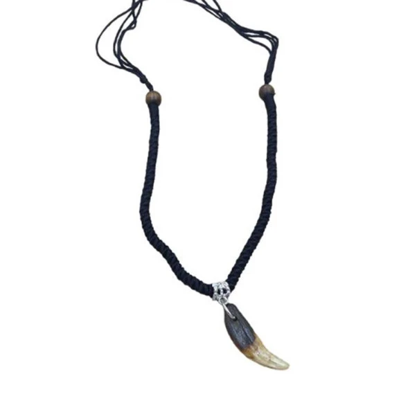 Doğal Tibet 3-4cm Kurt Dişi Kolye Brown Ayarlı Örgü İp 2 Boncuk - 7