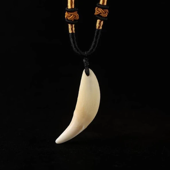 Doğal Tibet 3-4cm Kurt Dişi Kolye Beyaz Ayarlı Kordon İp 2 Boncuk - 3