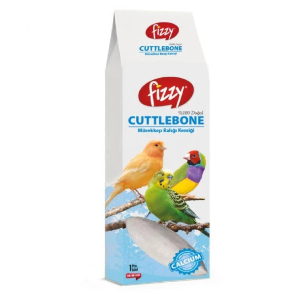 Fizzy Mürekkep Balığı Kemiği (Kalamar) 14-16 cm 1 Adet