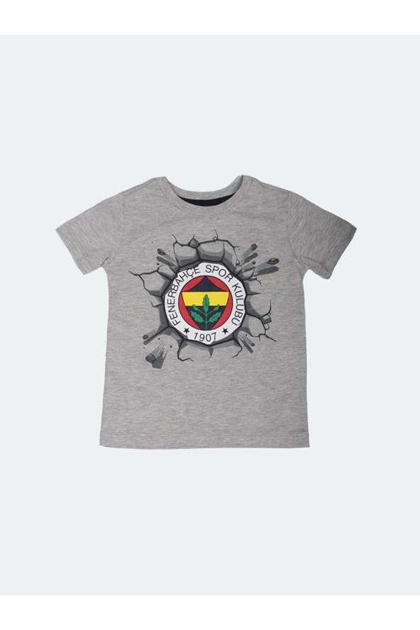 Fenerbahçe Orijinal Çocuk T-Shirt Antrasit