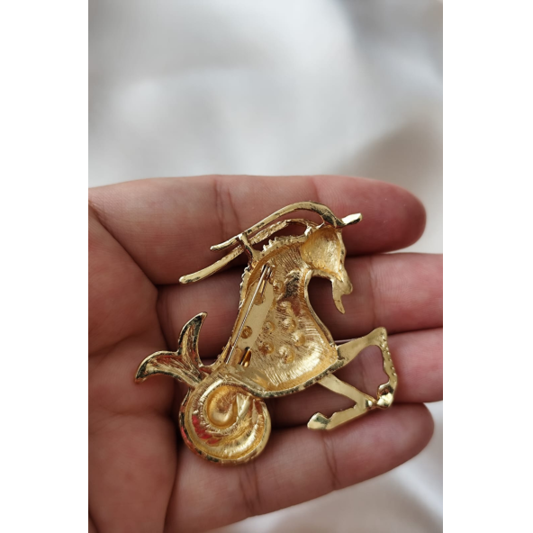 Stellar Capricorn Zarafet Oğlak Broşu - 2