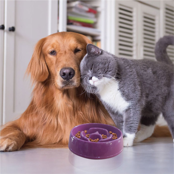 Az Yavaş Yeme Yediren Küçük 175 cc Obez Kedi Köpek Evcil Hayvan Mama Yem Kabı Kasesi Çanağı Kutusu - 2