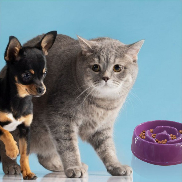 Büyük Obezite Önleyici 375cc Kedi Köpek Evcl Hayvn Az Yavaş Yeme Yediren Mama Yem Kabı Kasesi Tabağı - 5