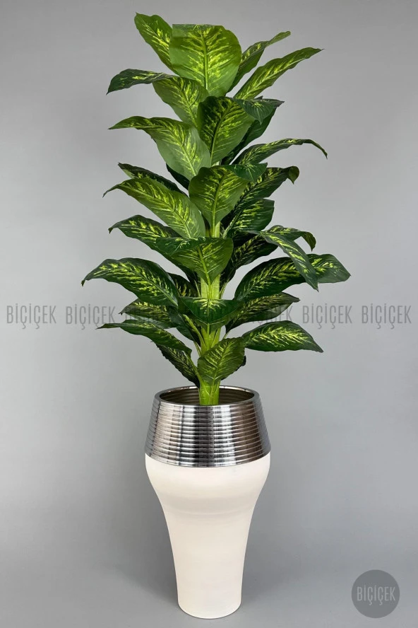 BİÇİÇEK 190 cm difenbahya bitkisi Cleopatra saksıda krem gümüş - 2