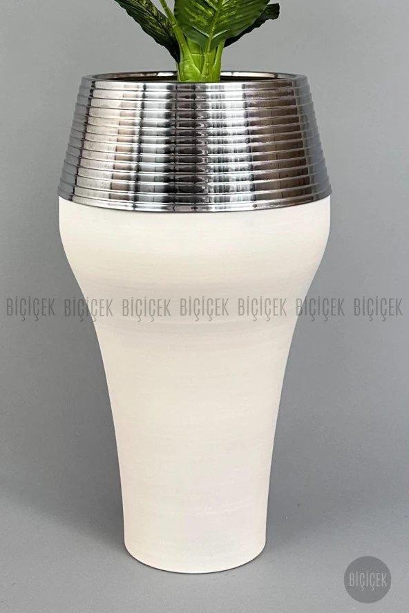 BİÇİÇEK 190 cm difenbahya bitkisi Cleopatra saksıda krem gümüş - 4