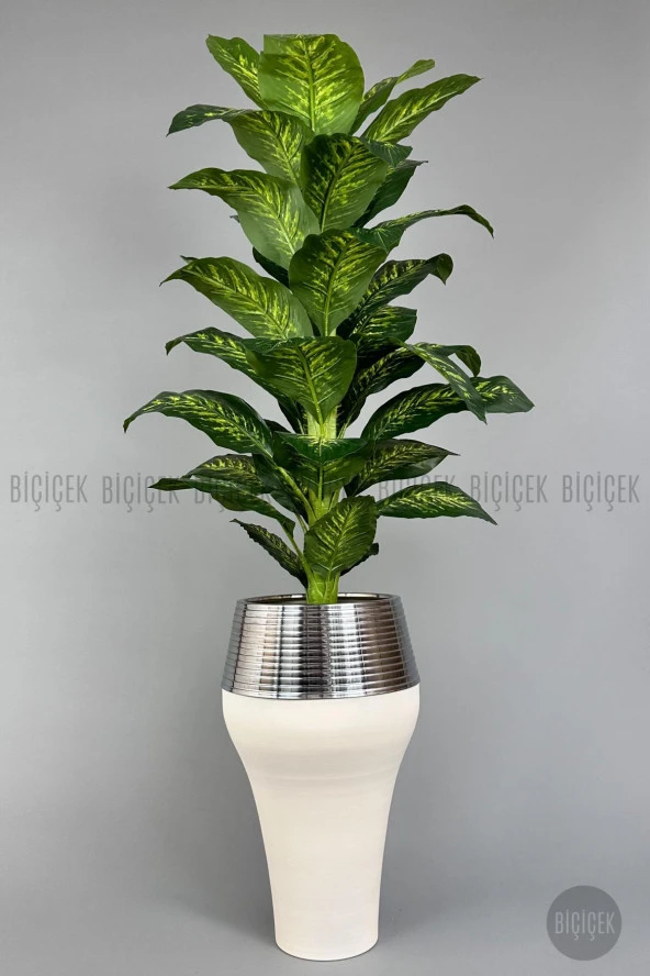BİÇİÇEK 190 cm difenbahya bitkisi Cleopatra saksıda krem gümüş - 6