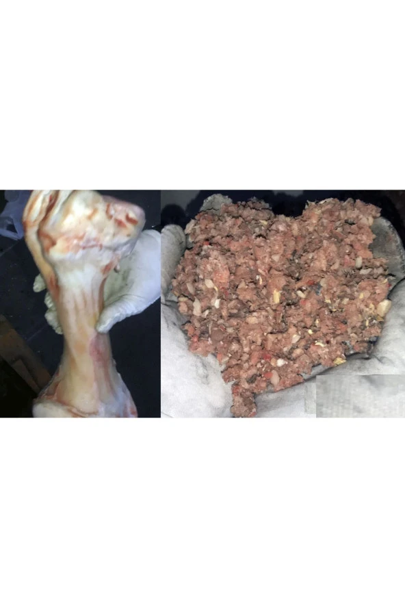 KEMİK PARÇALAMA MAKİNASI BONE CRUSHING MACHINE - 5