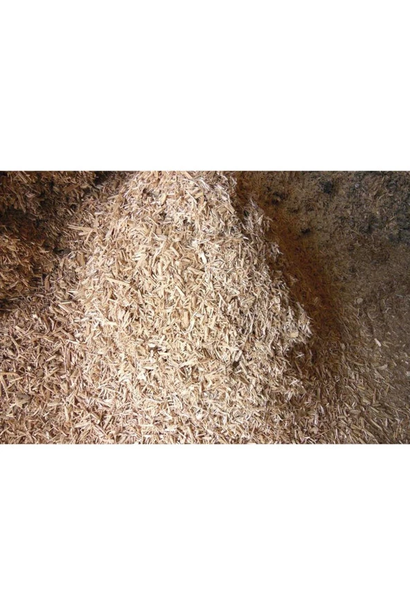 Palet Parçalayıcı Pallet Shredder - 5