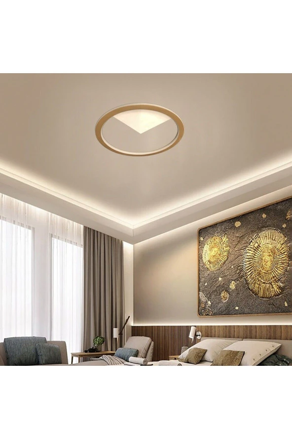 Voxlamp lighting solutions Tavan Tipi Led Plafonyer Avize Plafonia Sector 60cm