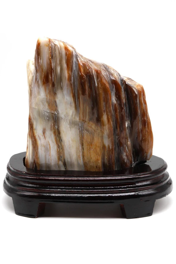 Ağaç Fosili Doğal Taş Standlı Parça