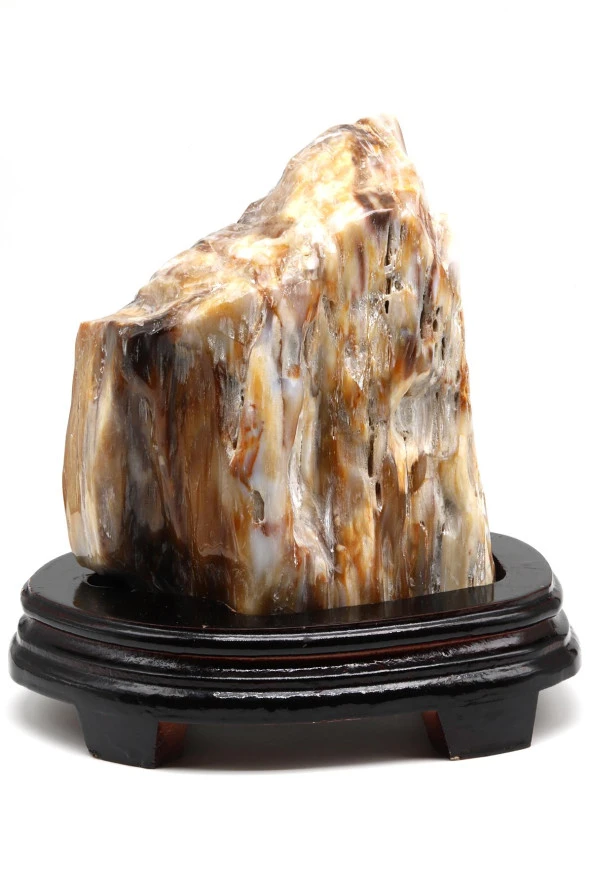 Ağaç Fosili Doğal Taş Standlı Parça - 2