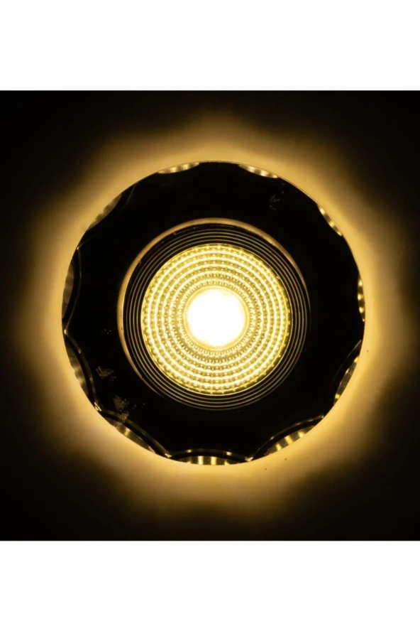 Tamled newlight 5+5w 3 Kademeli Cam Spot - 2