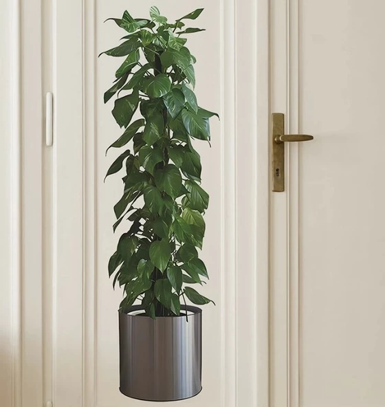 Pratik Saksılı Bitki Tasarımlı Yapışkanlı Sticker Resim 90*30 Cm Mc-665 - 4