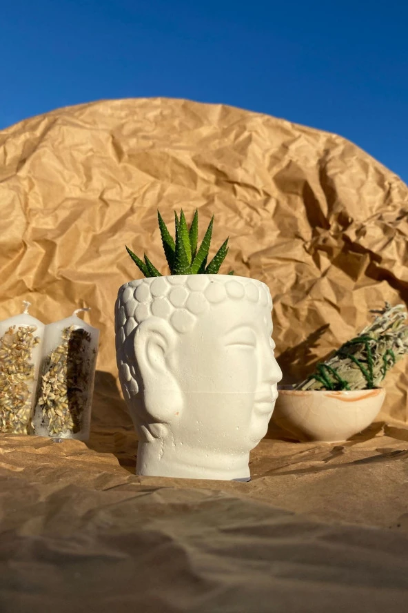 Sanat Sepet İşleri Beyaz Buda Heykel Büst Skulent Saksılık - 8,5 X 9 Cm - 3