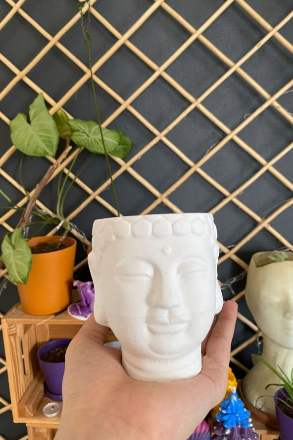 Sanat Sepet İşleri Beyaz Buda Heykel Büst Skulent Saksılık - 8,5 X 9 Cm - 4