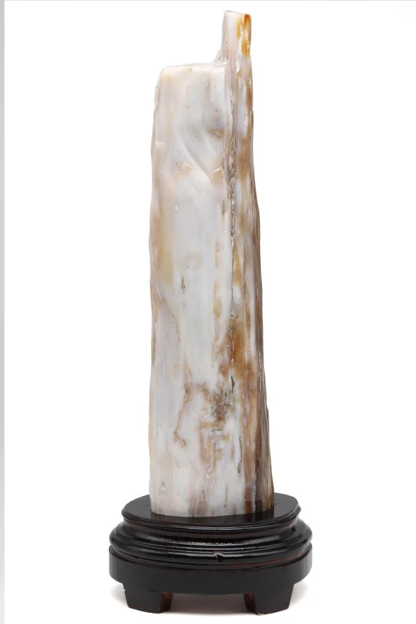 Ağaç Fosili Standlı Parça - Resim 2