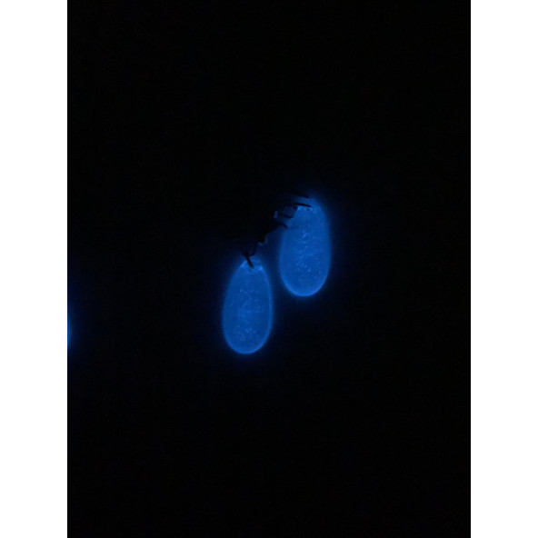 Şeffaf Renk Gece Mavi Neon Olan Damla Şekilli Gümüş Aksesuarlı Küpe Epoksi El Yapımı Hediyelik - Resim 8