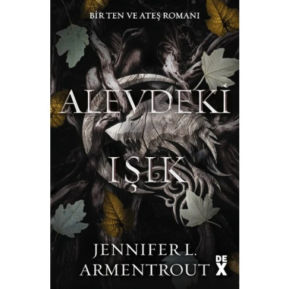 Alevdeki Işık