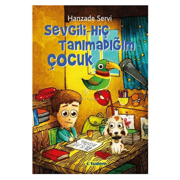 Sevgili Hiç Tanımadığım Çocuk Tudem Yayınları