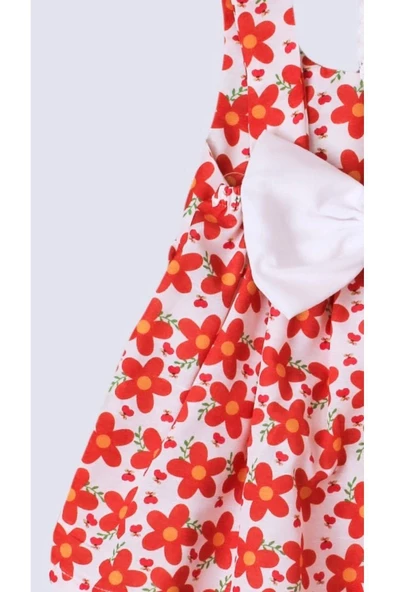 Yeni sezon Kız bebek elbise şapkalı takım - 2