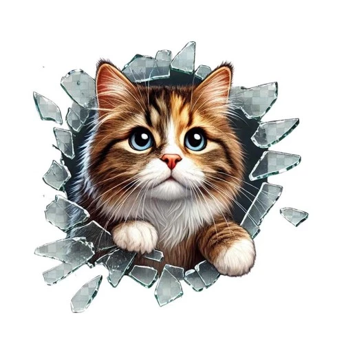 Periboia Fulcar Stray Araç Stickerı