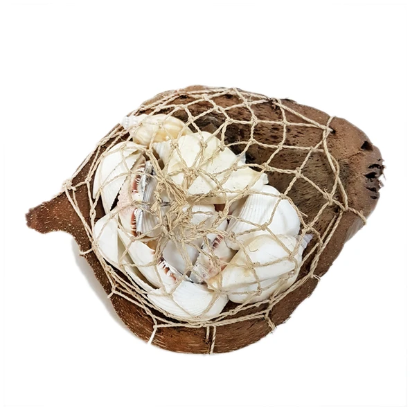 Coco Sepet Kabuk Beyaz Kabuk Yıldızlı
