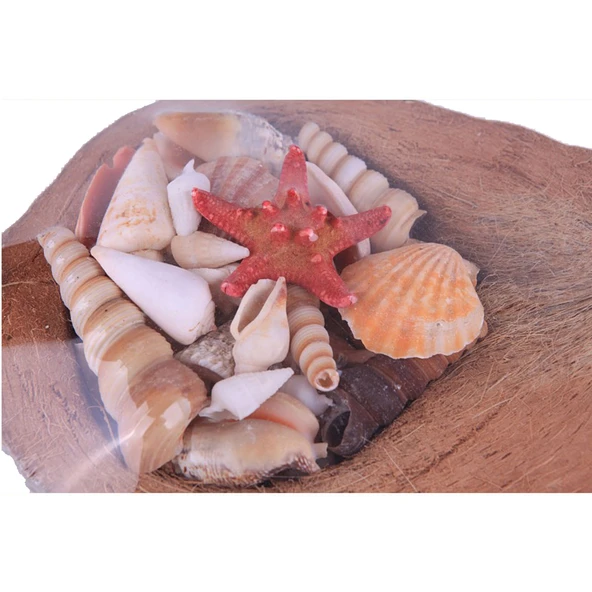 Coco Kabuk Sepeti 18-20 cm Arası - 2