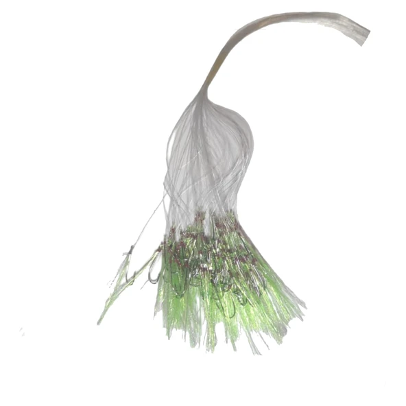 Avcı Market Açık Yeşil UV 100 lü Köstek 10 Numara Çapraz İğne 0.12 Misine ürün görseli 1