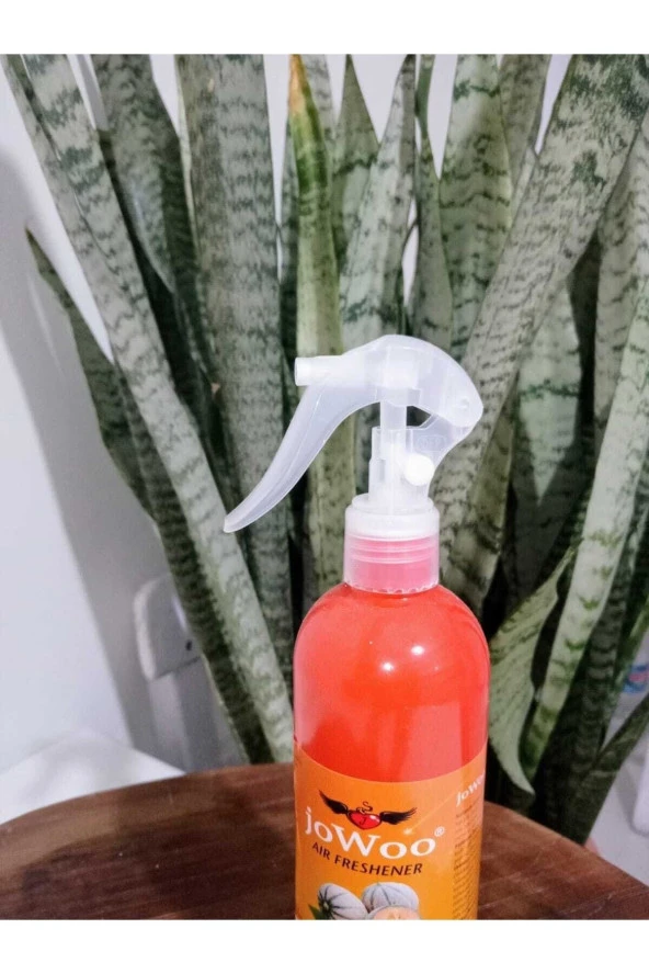 Air Freshener Oda Spreyi 350 Ml Melon - 3