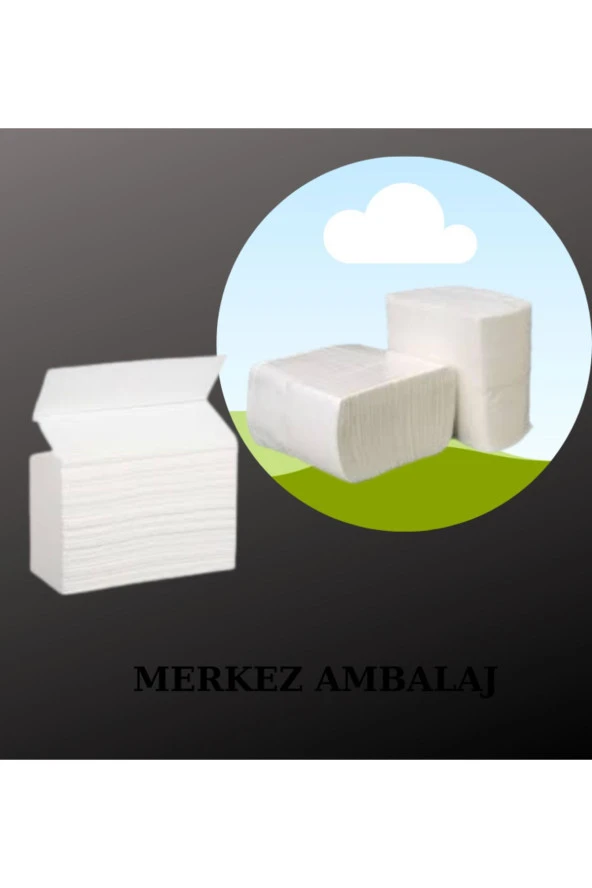 Z Katlama Dispenser Kağıt Havlu Peçete 12 Paket Ekonomik Z Katlı Havlu +1 KOLİ DİSPANSER PEÇETE ürün görseli 1