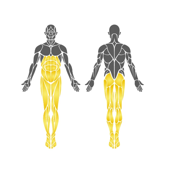 Bisiklet ve Step Aleti EKS02 - 3