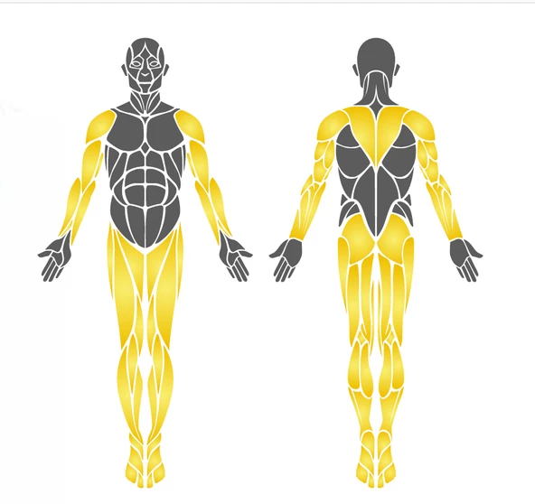 Park Spor Aleti, İkili Yürüyüş Aleti EKS09 - 3