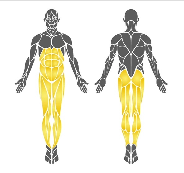 Dış Mekan Spor Aleti, Bisiklet EKS14 - 4