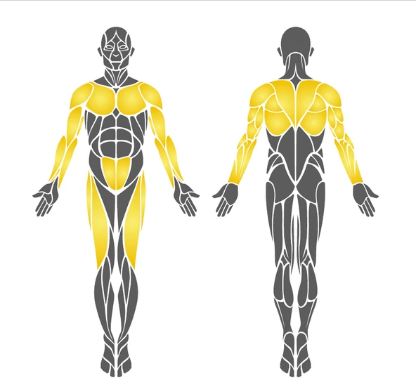 Dış Mekan Spor Aleti, Vücut Esnetme Aleti EKS11 - 3