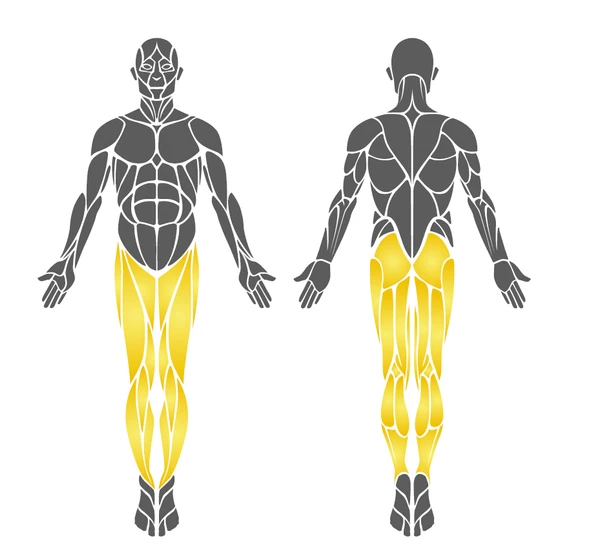 Açık Alan Fitness Aleti, Tekli Yürüyüş Aleti EKS10 - 3