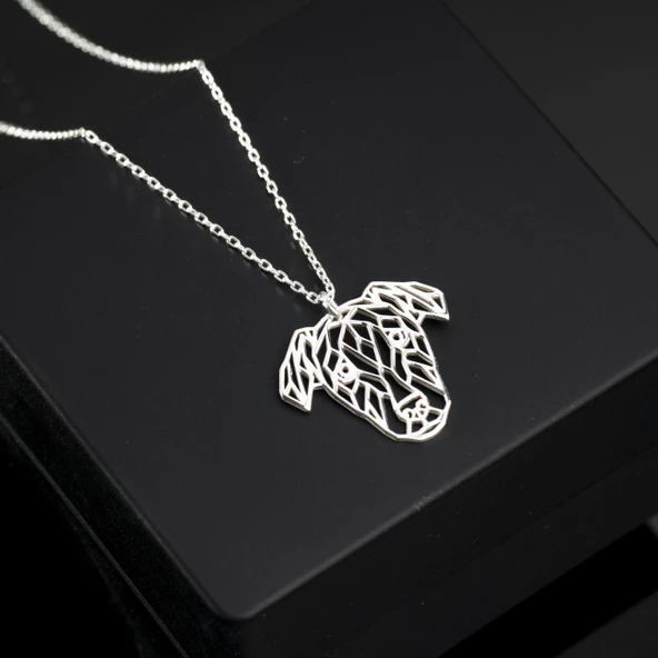 925 Ayar Gümüş  Şaşkın Golden Köpek Kolye Özel Tasarım - Resim 2