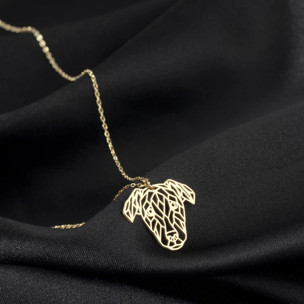 925 Ayar Gümüş  Şaşkın Golden Köpek Kolye Özel Tasarım ürün görseli 1