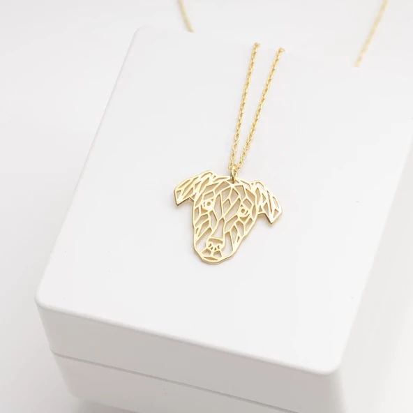 925 Ayar Gümüş  Şaşkın Golden Köpek Kolye Özel Tasarım - Resim 3