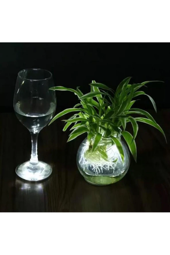 Parti Led Şişe Bardak Etiketi 6cm 6 LED’li 7 Renk + Renk Döngüsü - 8