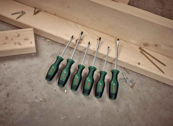 Bosch Tornavida Seti 6 Parça Set 1 - Resim 5