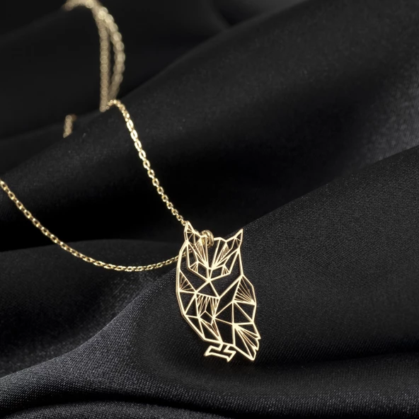 925 Ayar Gümüş Baykuş Figürlü Kolye Özel Tasarım ürün görseli 1