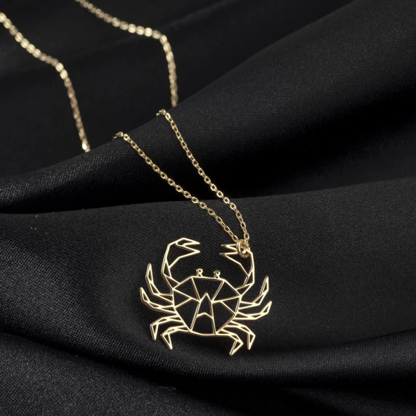 925 Ayar Gümüş Yengeç Kolye Özel Tasarım - Resim 2