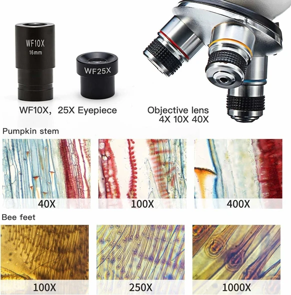 Swift SW150, Bileşik Öğrenci Mikroskobu, 40X-1000X Büyütme - 4