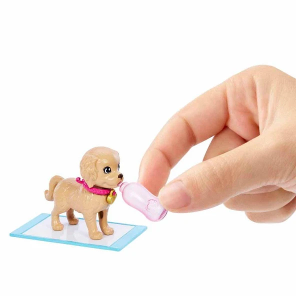 Barbie ve Köpekçikleri Oyun Seti HKD86 - 2