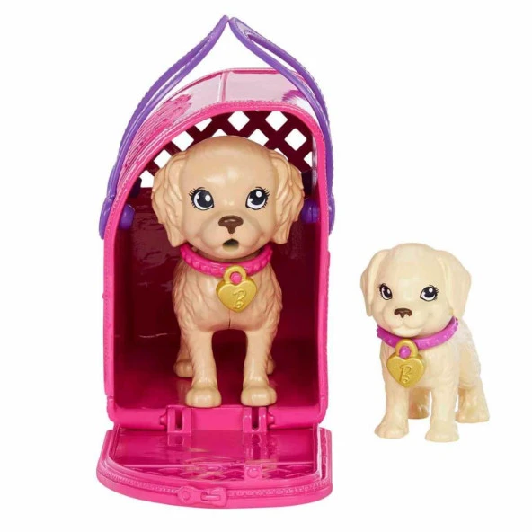 Barbie ve Köpekçikleri Oyun Seti HKD86 - 4